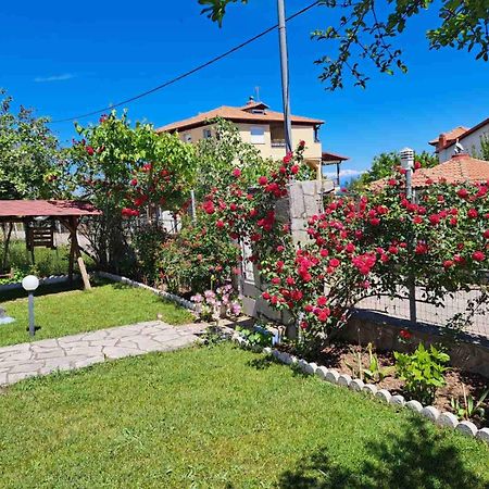 Villa Jenny ليبتوكاريا المظهر الخارجي الصورة