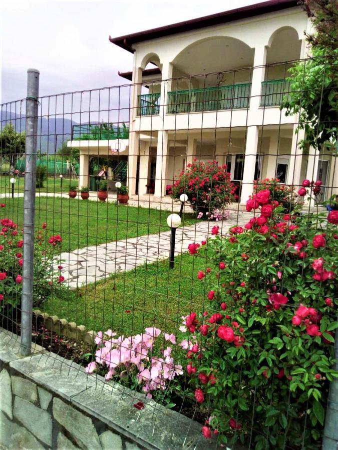 Villa Jenny ليبتوكاريا المظهر الخارجي الصورة