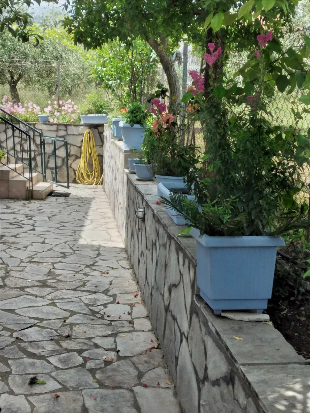 Villa Jenny ليبتوكاريا المظهر الخارجي الصورة