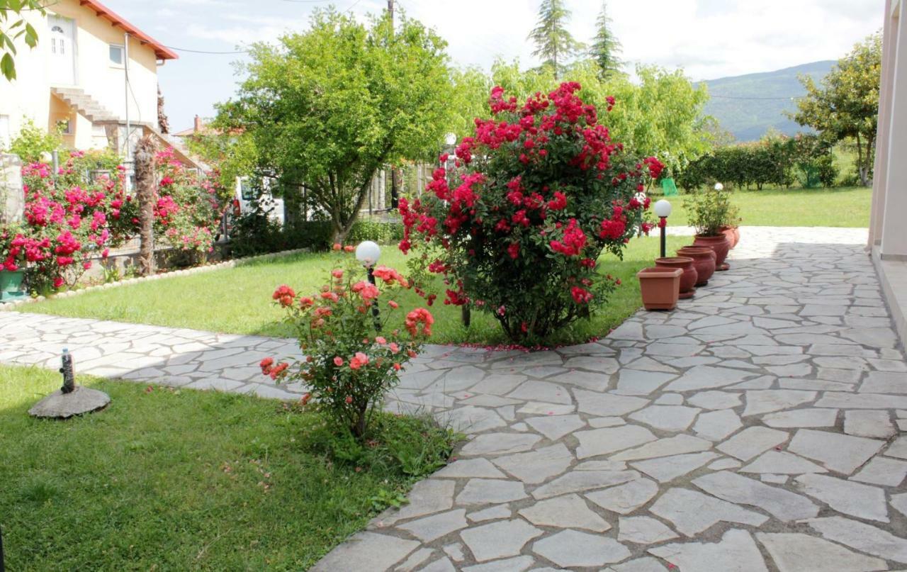 Villa Jenny ليبتوكاريا المظهر الخارجي الصورة